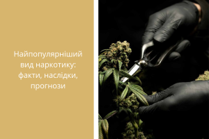 Найпопулярніший вид наркотику факти, наслідки, прогнози