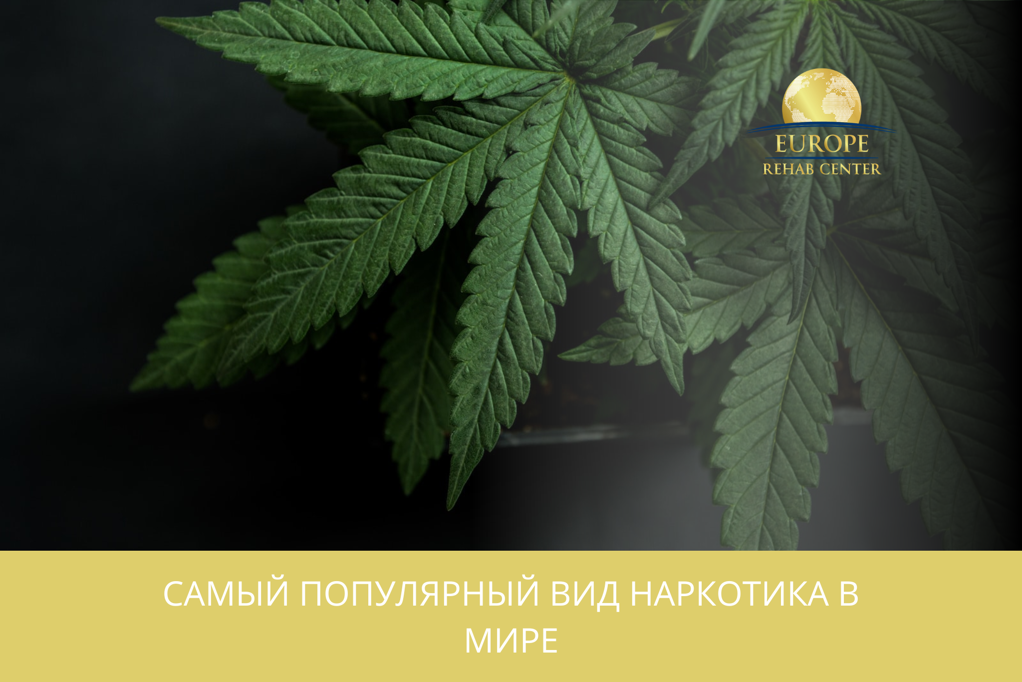 Самый популярный вид наркотика в мире